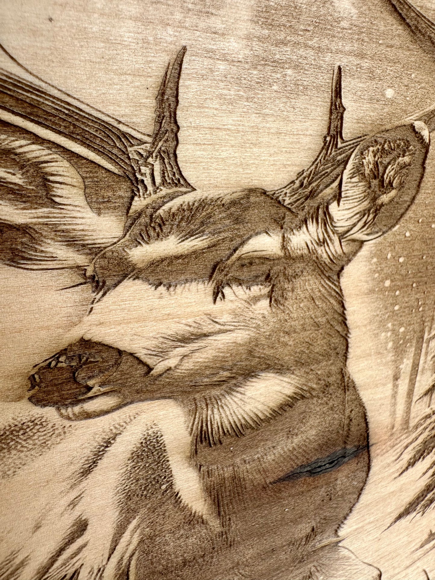 Deer in Woods Near and Far Live Edge Rectangular Plaque