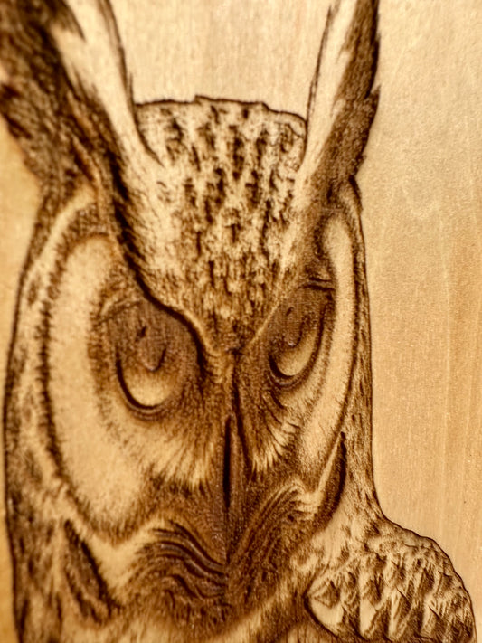 Perched Owl Live Edge Rectangular Plaque