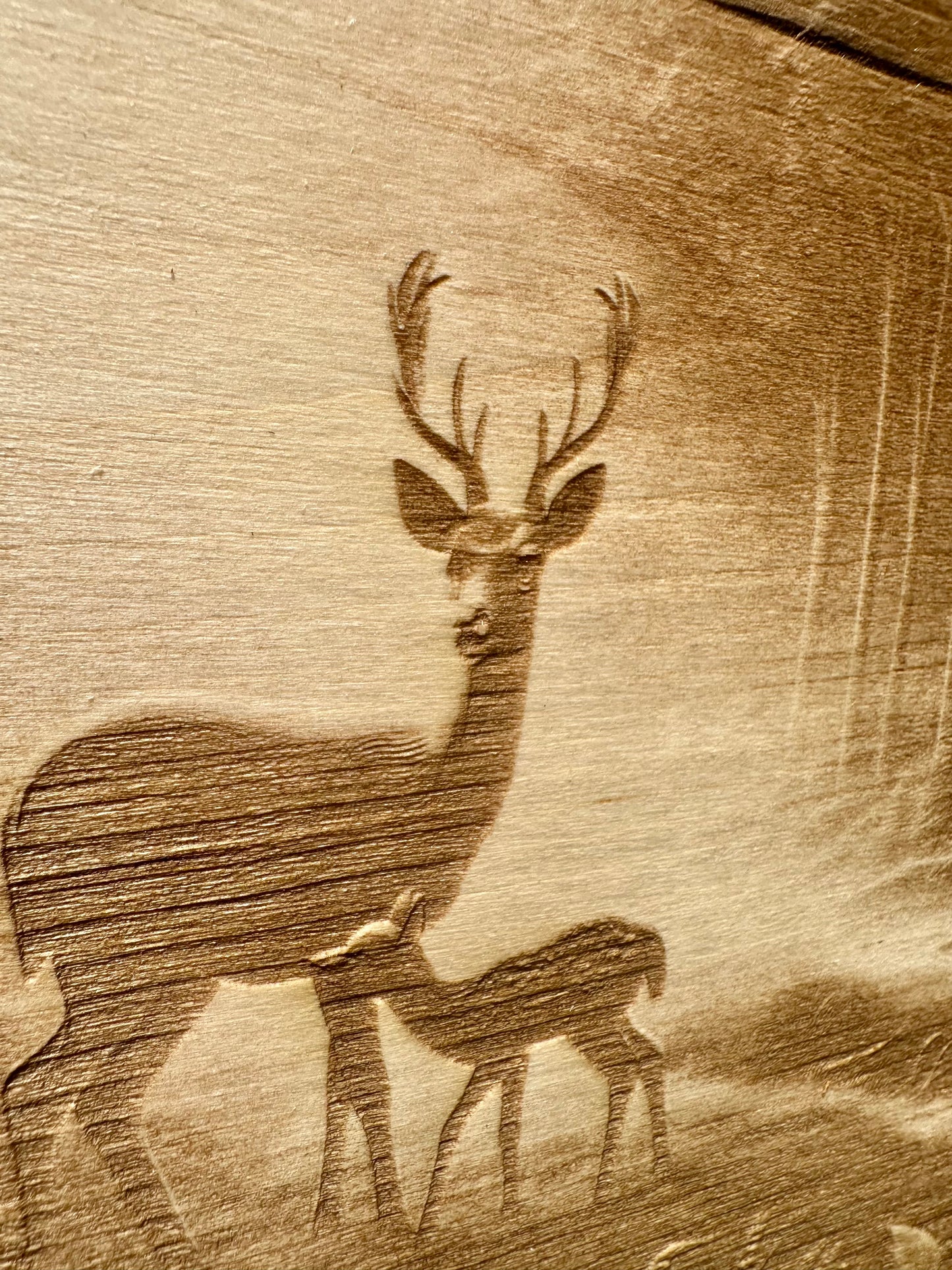 Deer Family in Forest Live Edge Rectangular Plaque