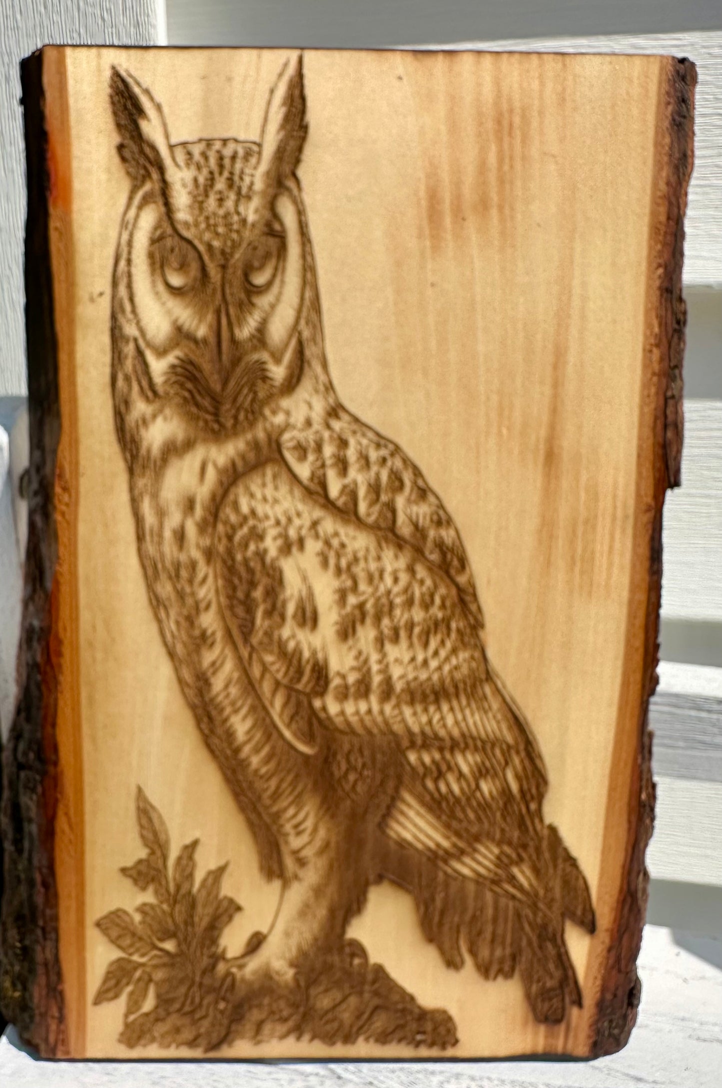 Perched Owl Live Edge Rectangular Plaque