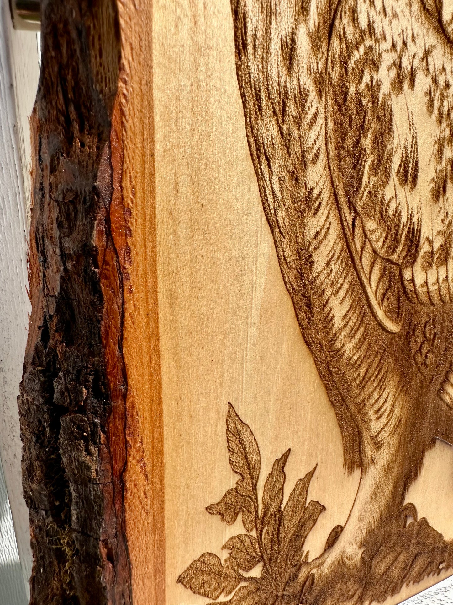 Perched Owl Live Edge Rectangular Plaque