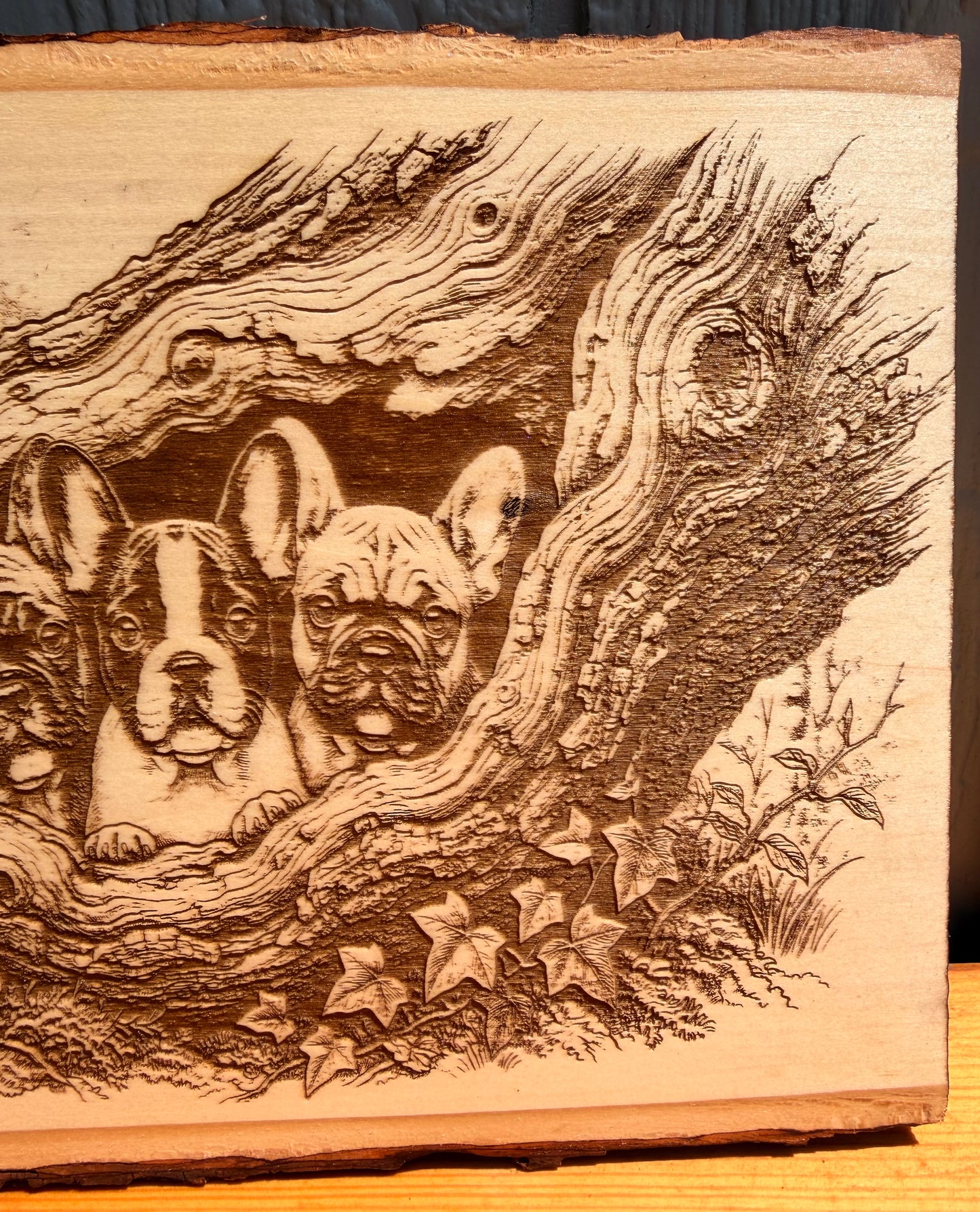Plaque Live Edge Rectangular - Three French Bulldog Puppies