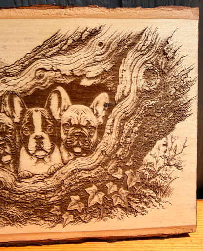 Plaque Live Edge Rectangular - Three French Bulldog Puppies
