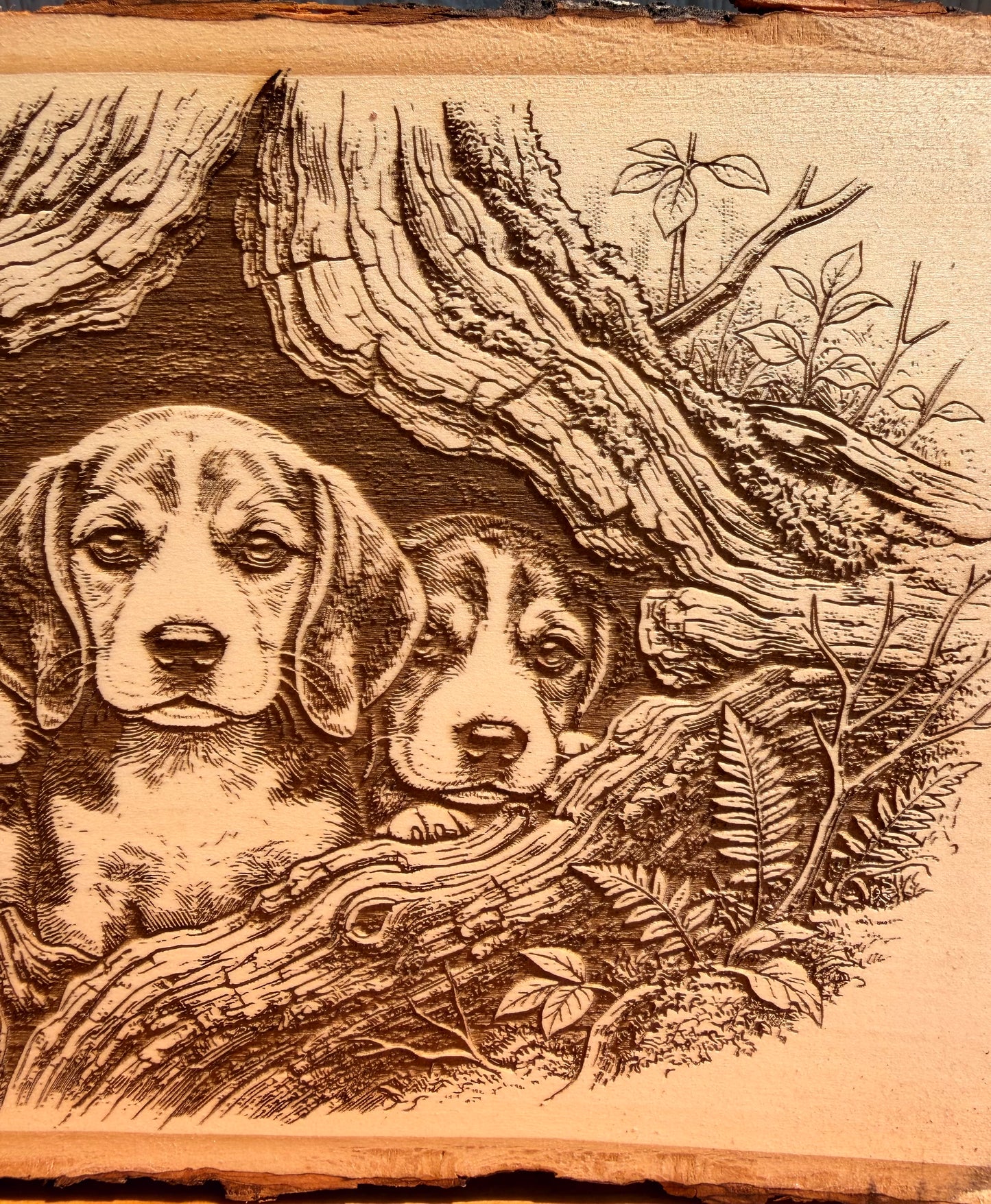Plaque Live Edge Rectangular - Three Beagle Puppies