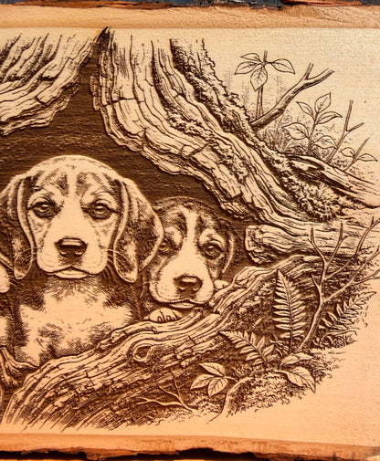Plaque Live Edge Rectangular - Three Beagle Puppies