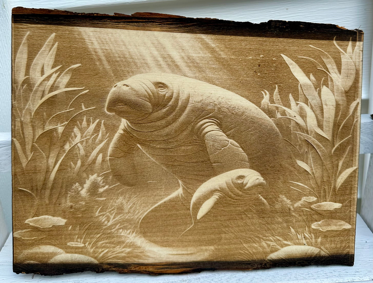 Manatee Family Live Edge Rectangular Plaque