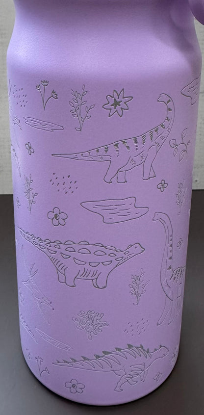 16oz. Insulated Water Bottle with Straw Lid and Built in Lid Handle - Purple with Dinosaurs