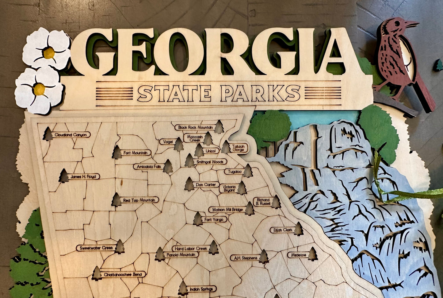 State Park Visit Tracking Map - Georgia