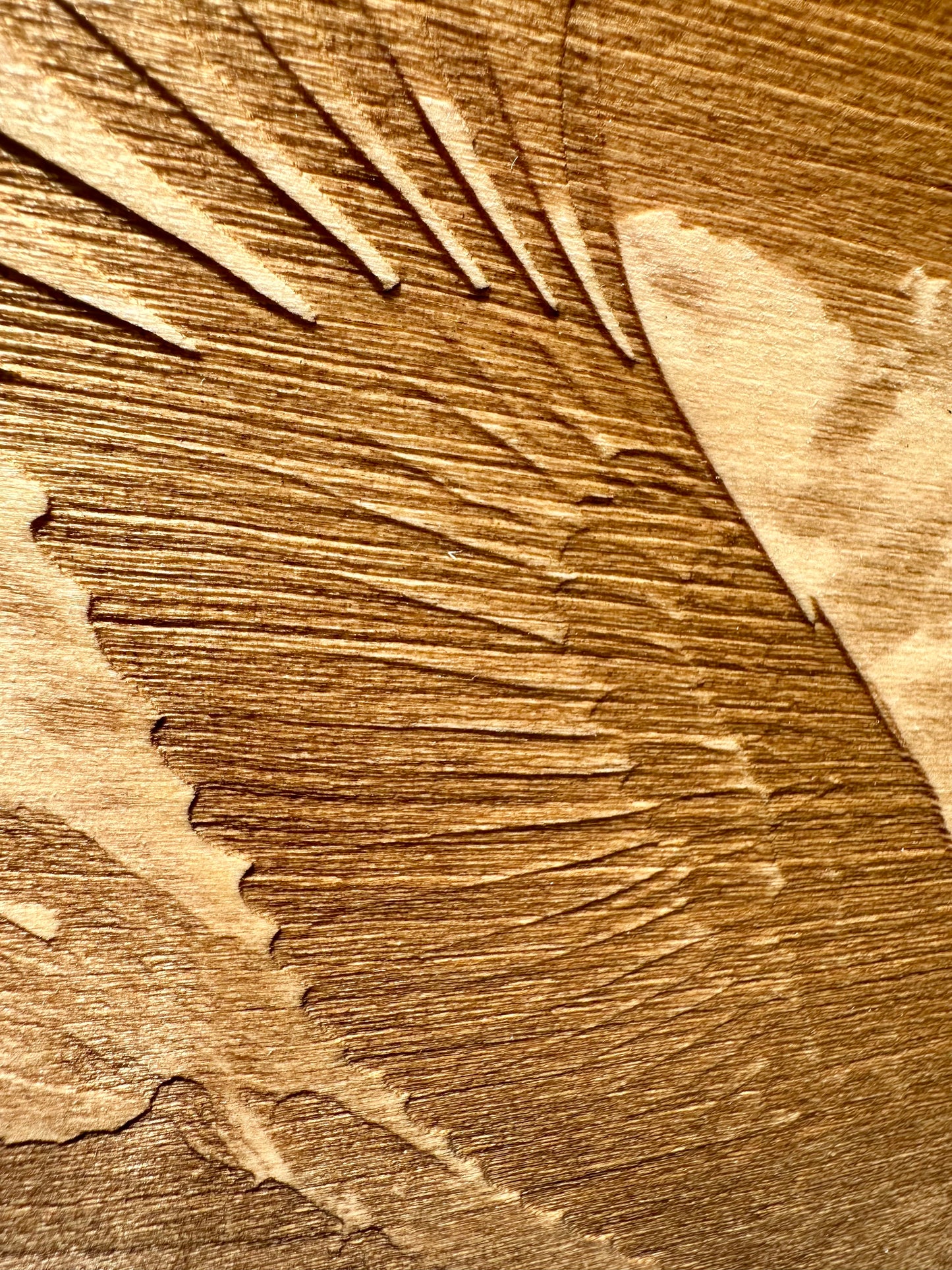 Soaring Eagle Live Edge Rectangular Plaque