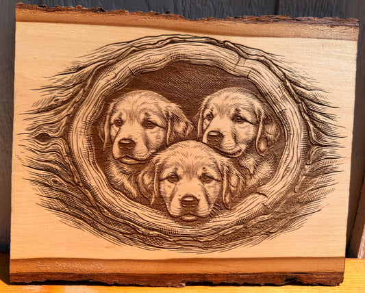 Plaque Live Edge Rectangular - Three Retriever Puppies