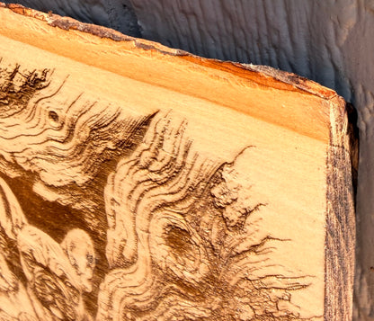 Plaque Live Edge Rectangular - Three French Bulldog Puppies