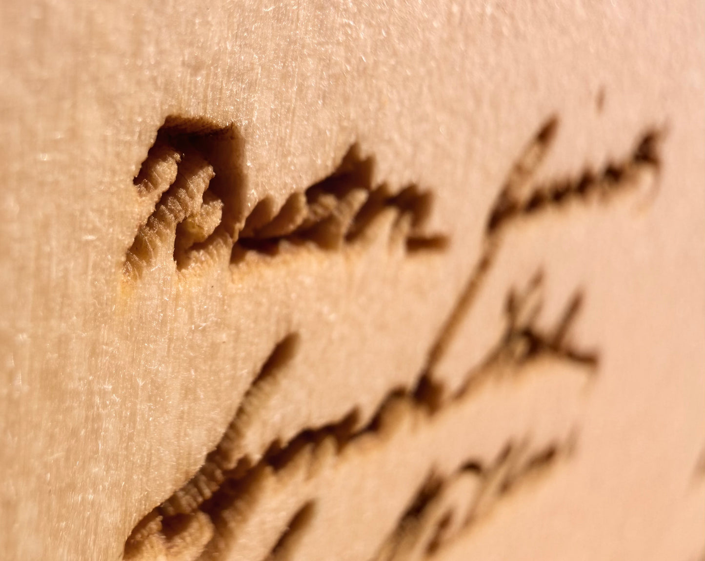 Plaque Live Edge Rectangular - The Declaration of Independence