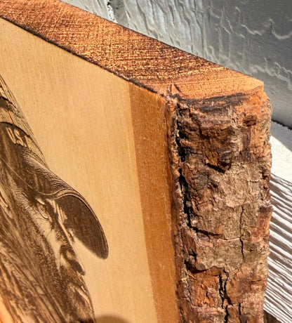 Plaque Live Edge Rectangular - The Veteran