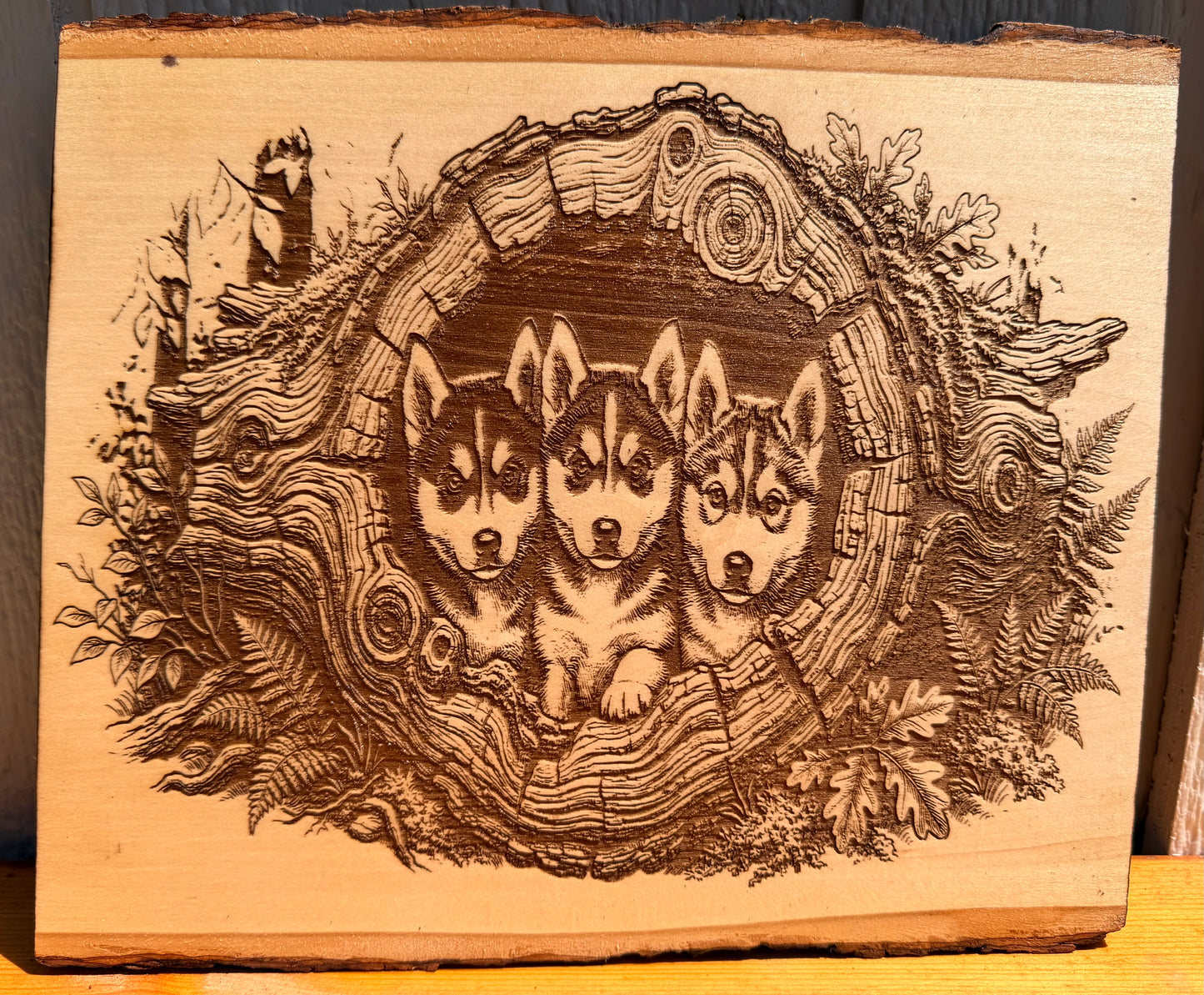 Plaque Live Edge Rectangular - Three Husky Puppies