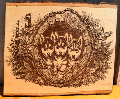 Plaque Live Edge Rectangular - Three Husky Puppies