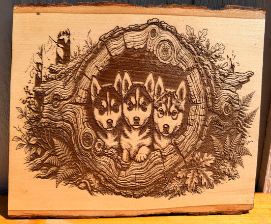 Plaque Live Edge Rectangular - Three Husky Puppies