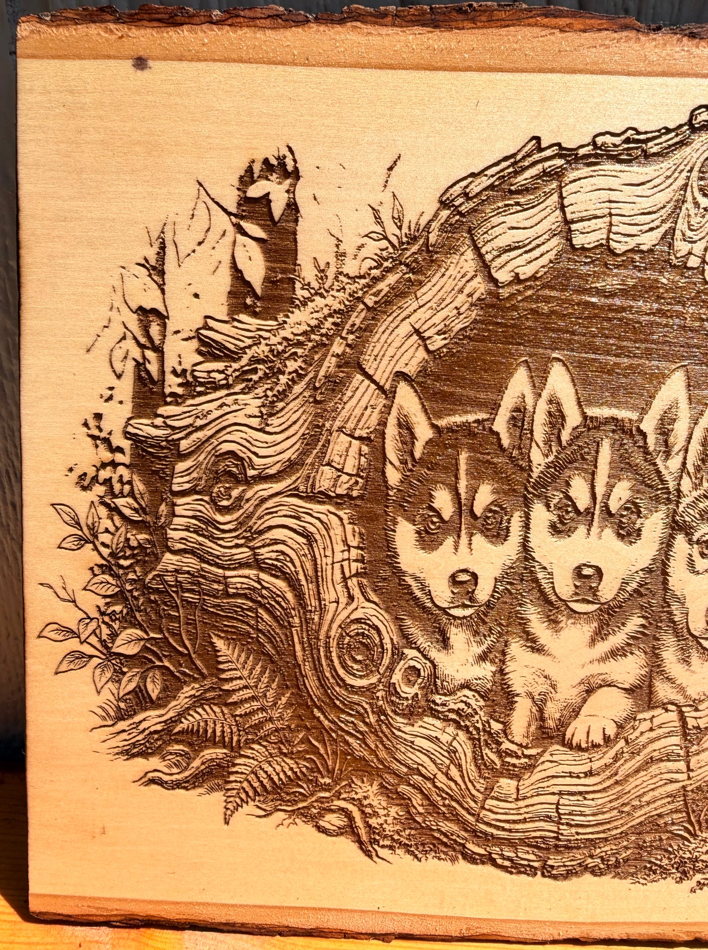 Plaque Live Edge Rectangular - Three Husky Puppies