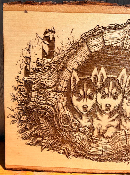 Plaque Live Edge Rectangular - Three Husky Puppies