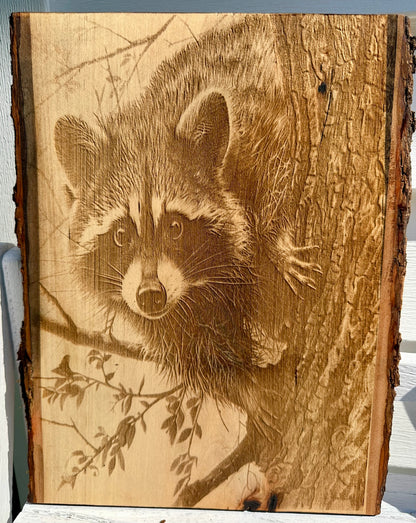 Raccoon Close Up Live Edge Rectangular Plaque