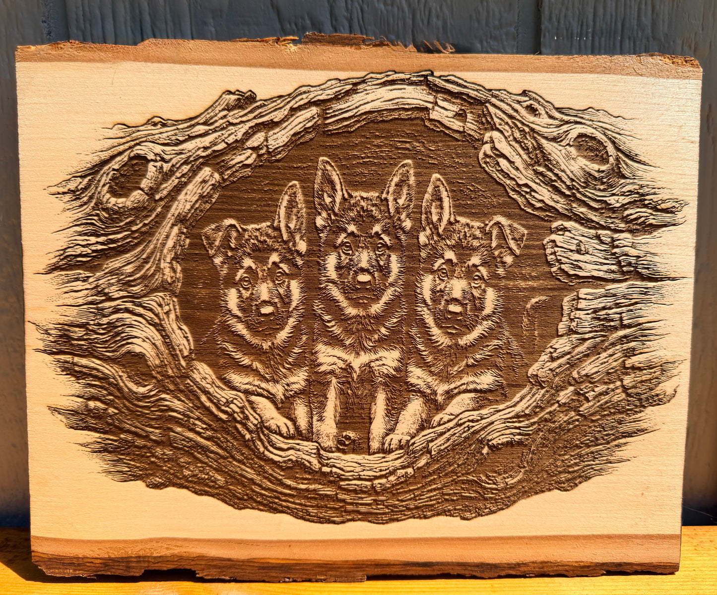 Plaque Live Edge Rectangular - Three Shepherd Puppies