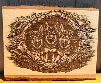 Plaque Live Edge Rectangular - Three Shepherd Puppies