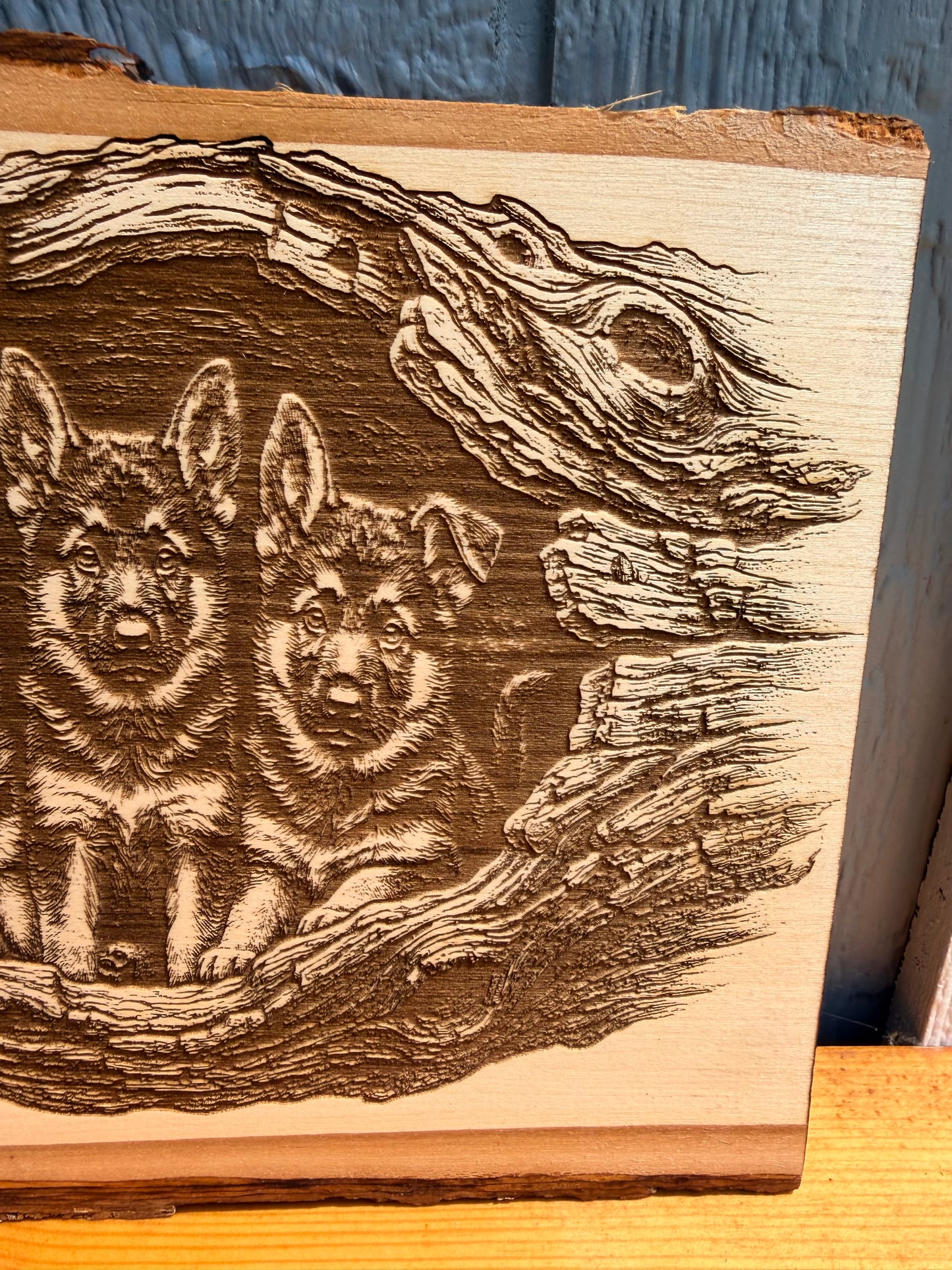 Plaque Live Edge Rectangular - Three Shepherd Puppies