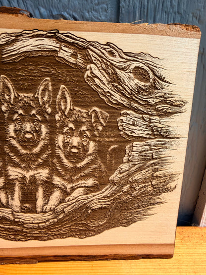 Plaque Live Edge Rectangular - Three Shepherd Puppies
