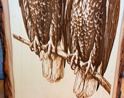 Plaque Live Edge Rectangular - Two Eagles Perched
