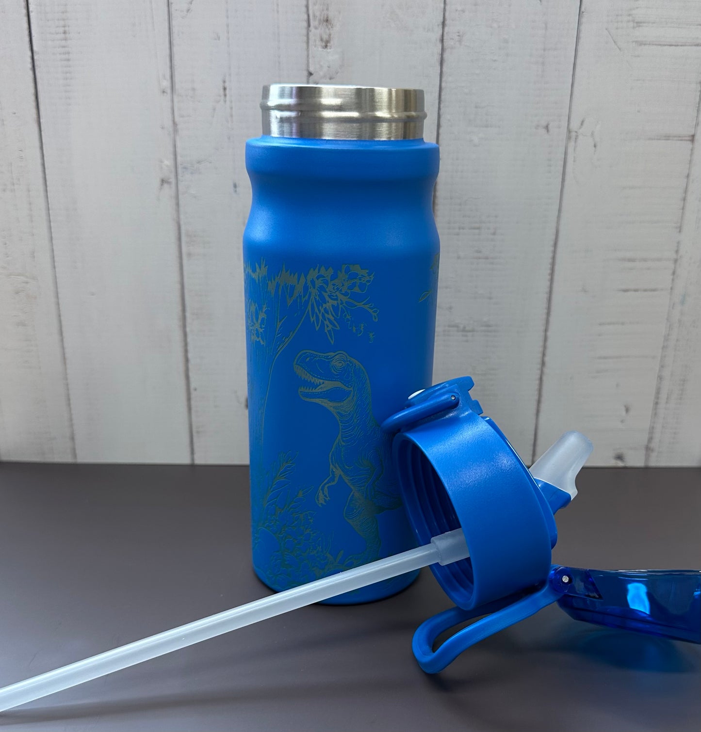 16oz. Insulated Water Bottle with Straw Lid and Built in Lid Handle - Blue with Dinosaur