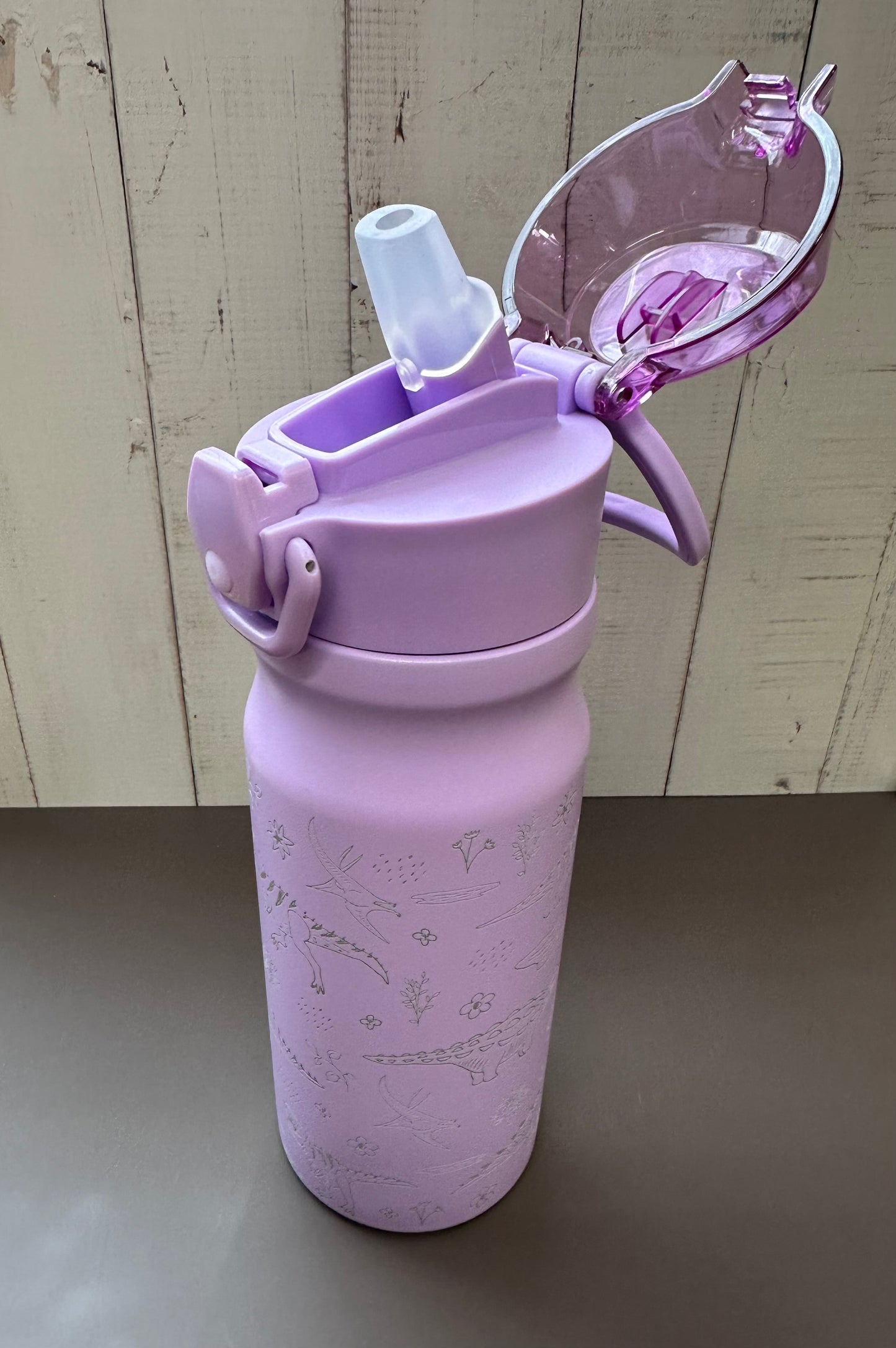 16oz. Insulated Water Bottle with Straw Lid and Built in Lid Handle - Purple with Dinosaurs