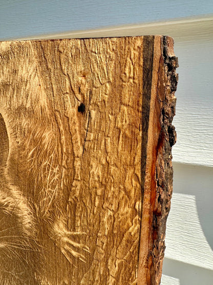 Raccoon Close Up Live Edge Rectangular Plaque