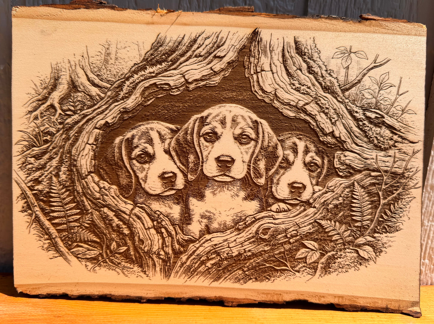 Plaque Live Edge Rectangular - Three Beagle Puppies