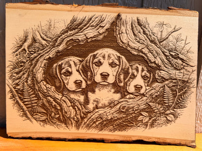Plaque Live Edge Rectangular - Three Beagle Puppies
