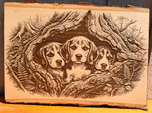 Plaque Live Edge Rectangular - Three Beagle Puppies