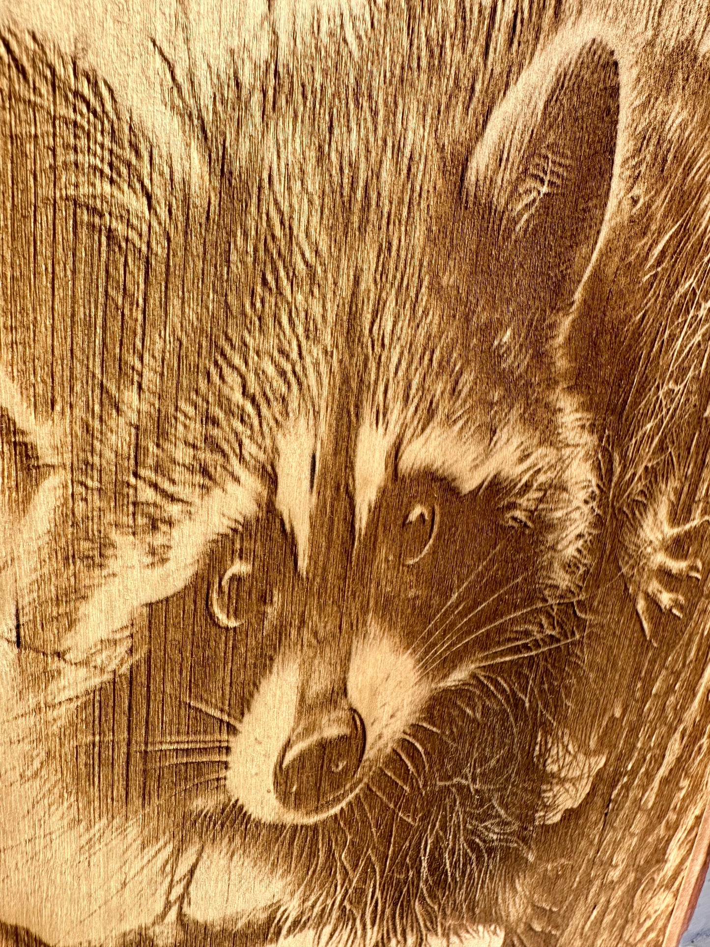 Raccoon Close Up Live Edge Rectangular Plaque