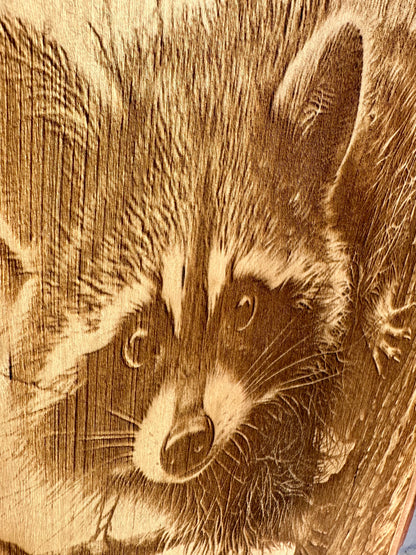Raccoon Close Up Live Edge Rectangular Plaque