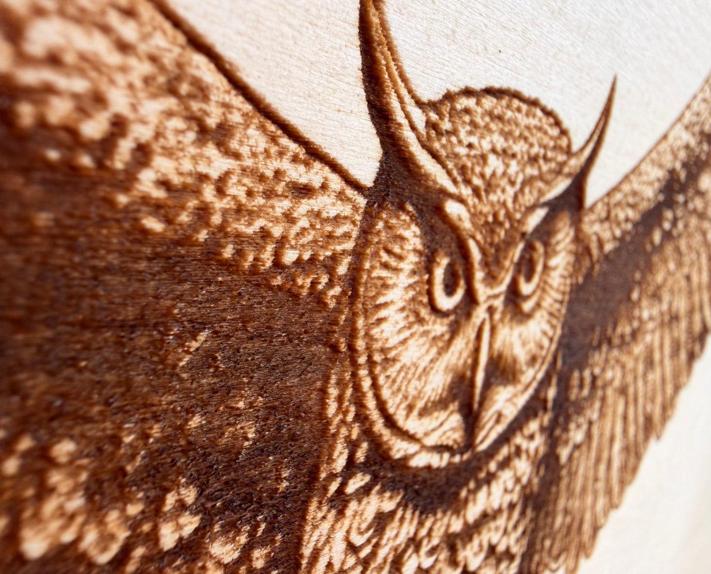 Plaque Live Edge Rectangular - Owl with Wings Spread