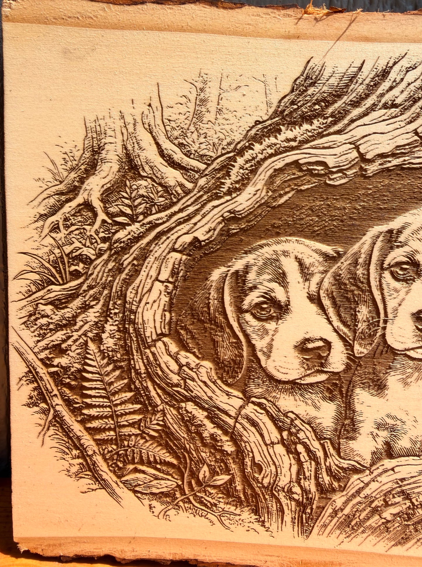 Plaque Live Edge Rectangular - Three Beagle Puppies