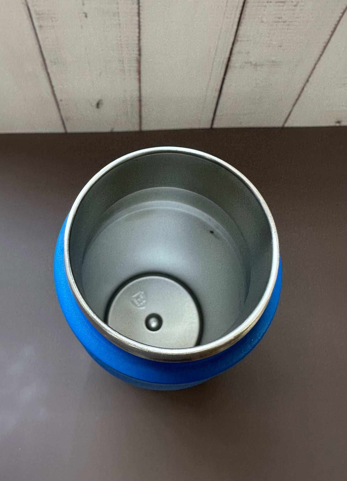 16oz. Insulated Water Bottle with Straw Lid and Built in Lid Handle - Blue with Dinosaur