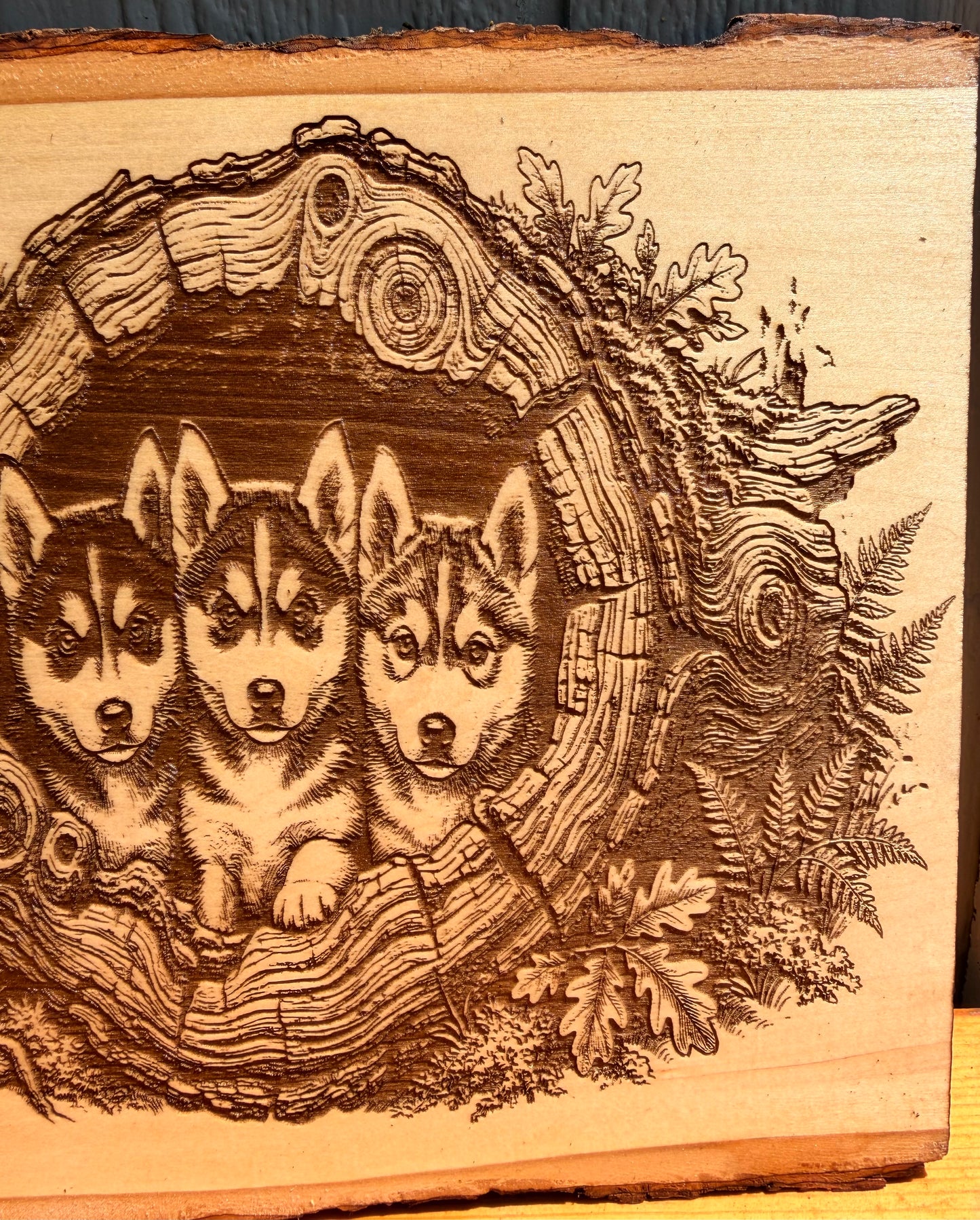 Plaque Live Edge Rectangular - Three Husky Puppies
