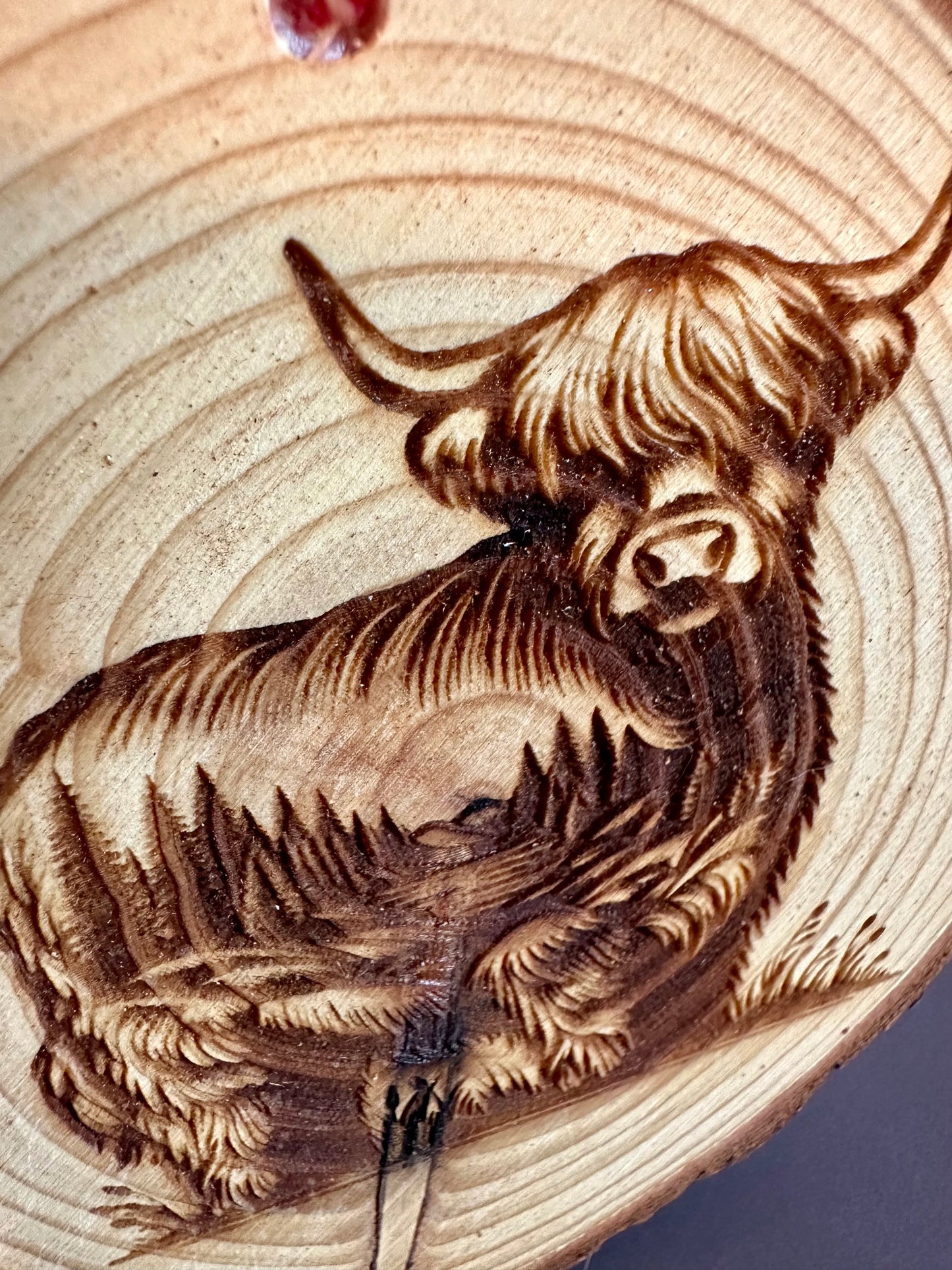 Engraved Live Edge Wooden Round Ornament - Highland Coo with Inner Wilderness Scene