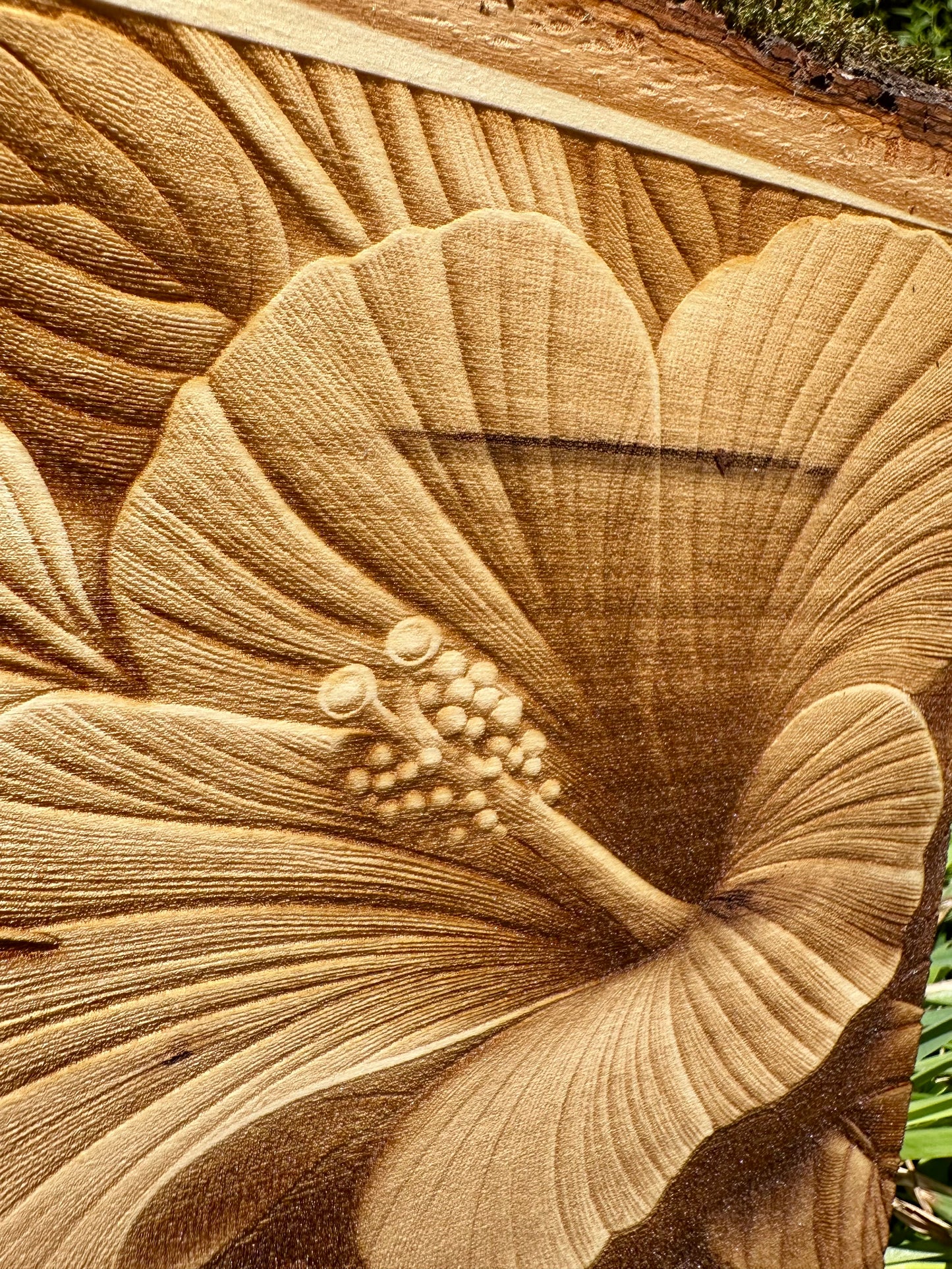 Hummingbird and Hibiscus Live Edge Rectangular Plaque