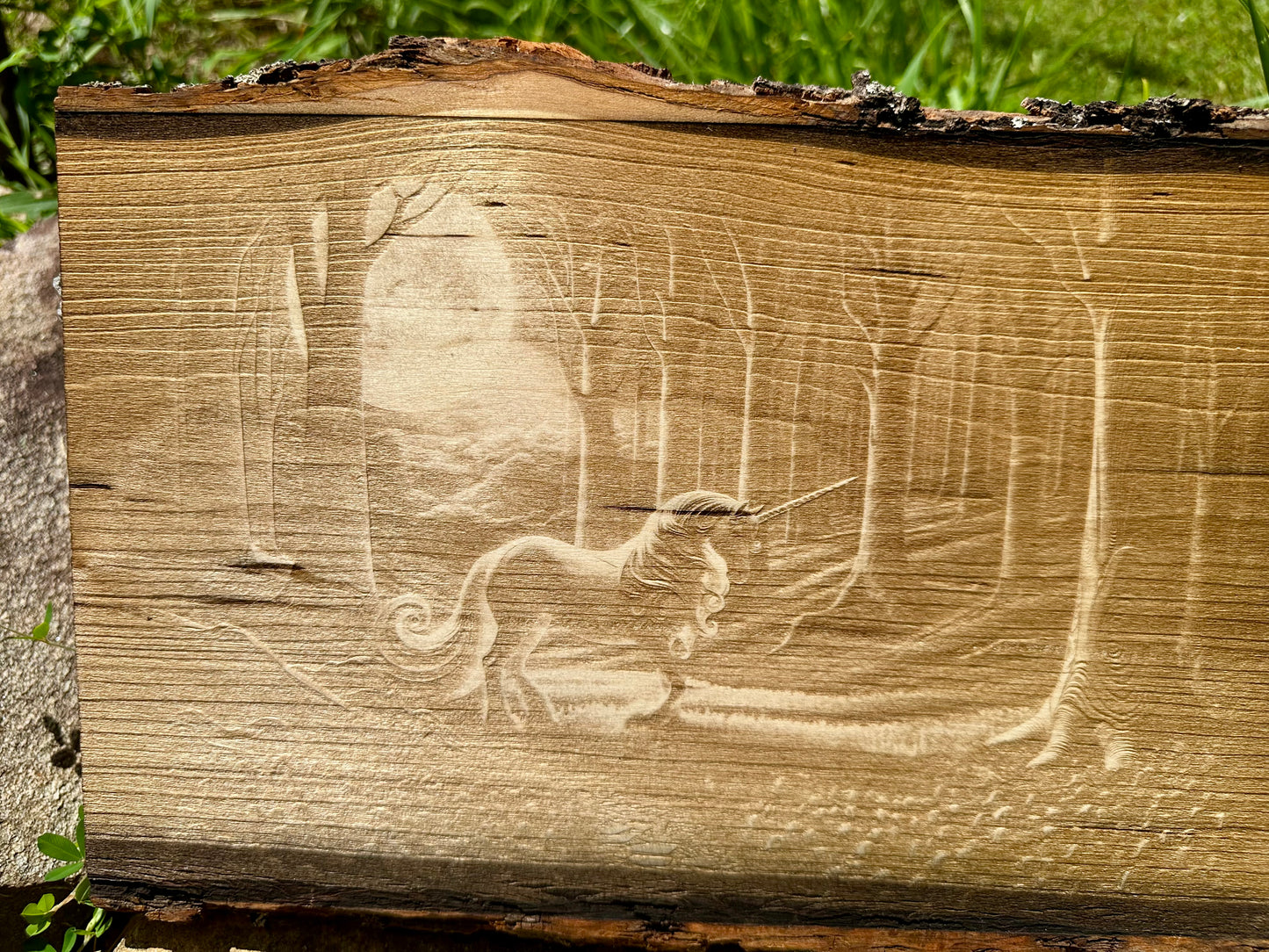 Unicorn in Forest Live Edge Rectangular Plaque