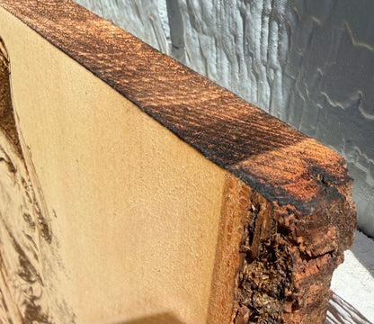 Plaque Live Edge Rectangular - The Patriot