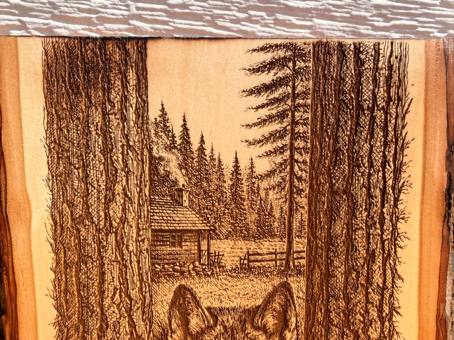 Plaque Live Edge Rectangular - Wolf in the Trees