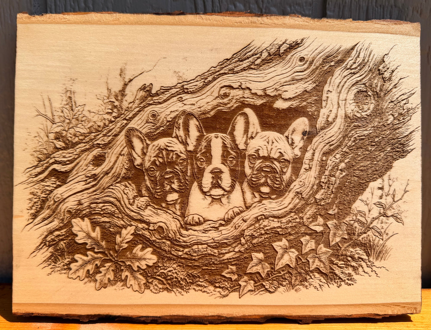 Plaque Live Edge Rectangular - Three French Bulldog Puppies