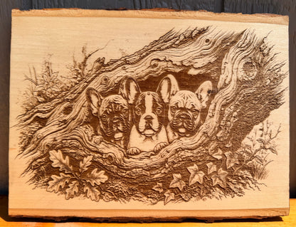 Plaque Live Edge Rectangular - Three French Bulldog Puppies