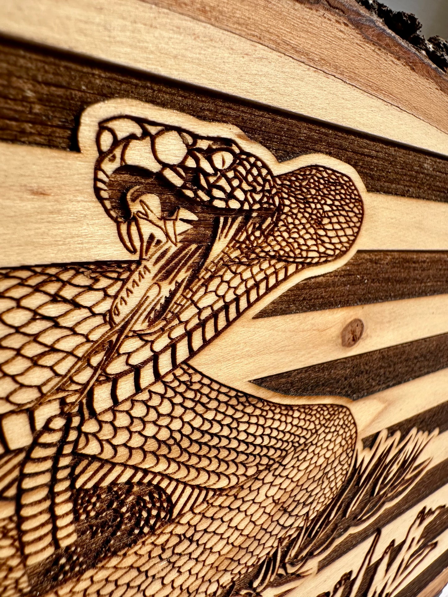 Patriotic Don’t Tread on Me Snake with Flag Live Edge Rectangular Plaque