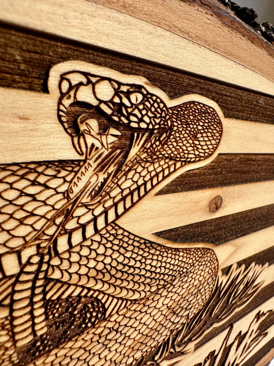 Patriotic Don’t Tread on Me Snake with Flag Live Edge Rectangular Plaque