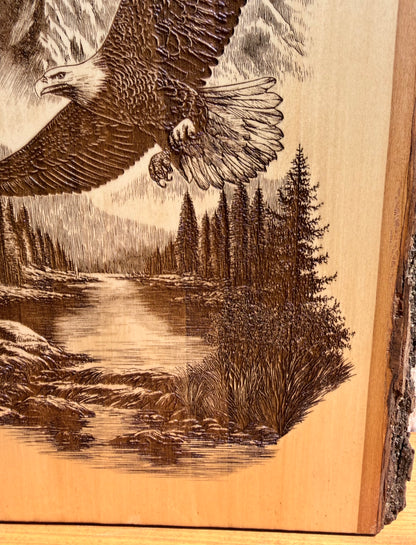 Plaque Live Edge Rectangular - Soaring Eagle